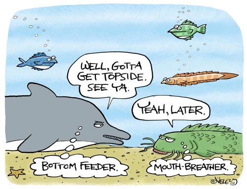 Mouth Breather/Bottom Feeder