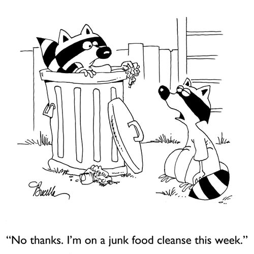 "No thanks. I'm a junk food cleanse this week."