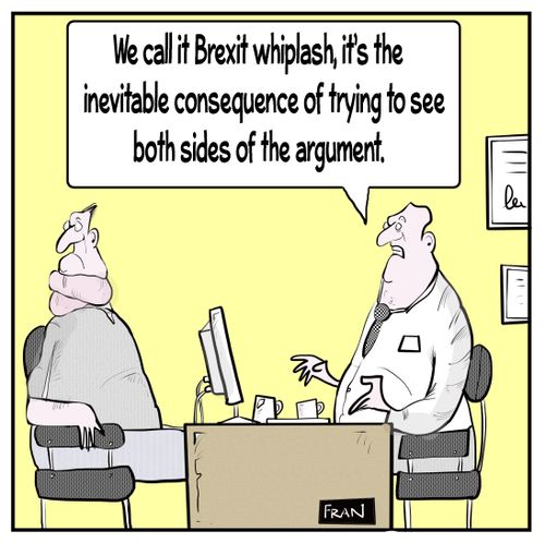 "We call it Brexit whiplash, it's the inevitable consequence of trying to see both side of the argument."
