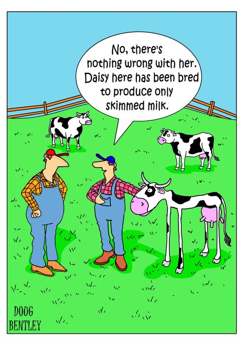 "No, there's nothing wrong with her. Daisy here has been bred only to produce skimmed milk."