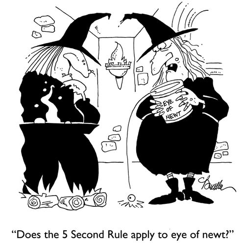 "Does the 5 Second Rule apply to eye of newt?"