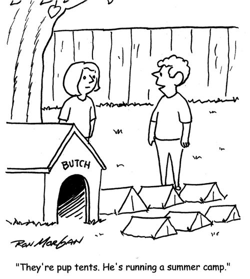 They're pup tents. He's running a summer camp."