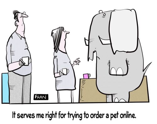 "It serves me right for trying to order a pet online."