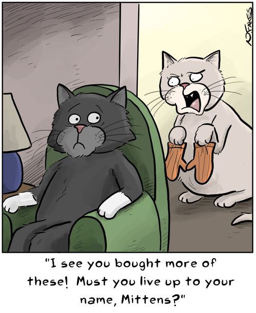 "I see you bought more of these! Must you live up to your name, Mittens?"