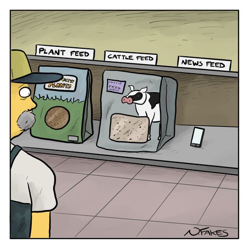News Feed