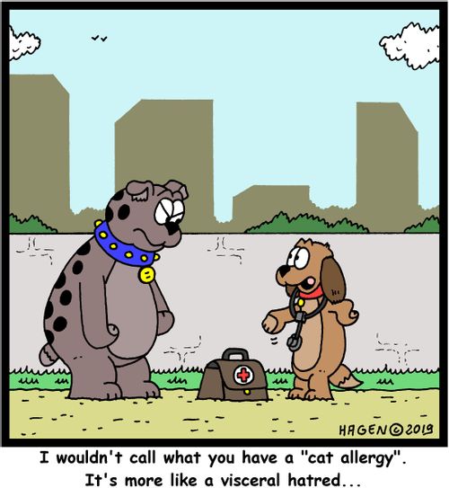 "I wouldn't call what you have a "cat allergy". It's more like a visceral hatred..."