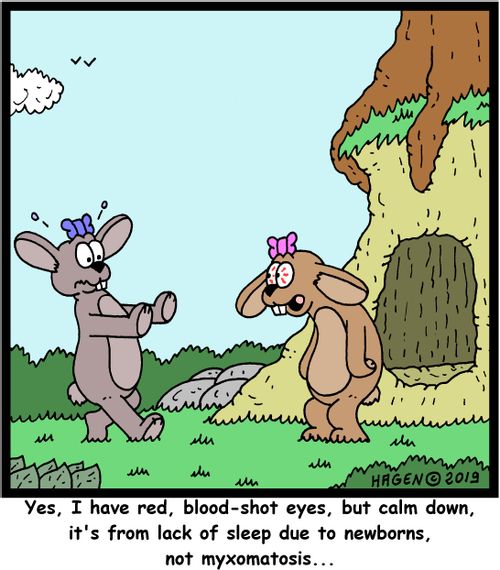 "Yes, I have red, blood-shot eyes, but calm down, it's from lack of sleep due to newborns, not myxomatosis..."