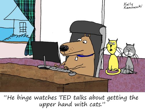 "He binge watches TED talks about getting the upper hand with cats."