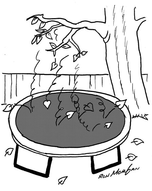 Leaves drop from trees and bounce off a trampoline.