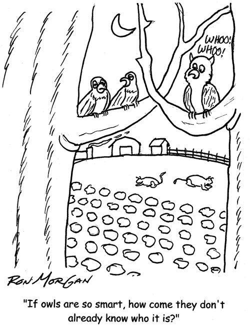 "If owls are so smart, how come they don't already now who it is?"