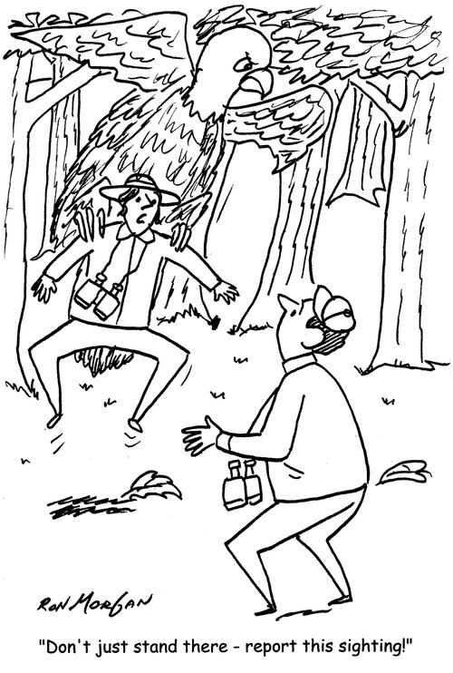 "Don't just stand there - report this sighting!"