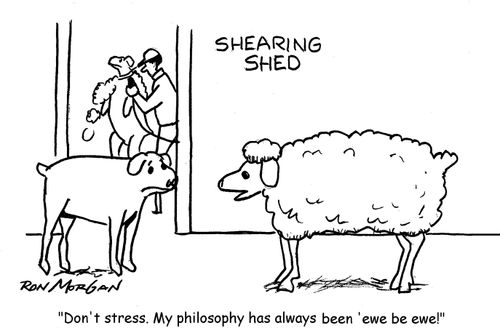 "Don't stress. My philosophy has always been 'ewe be ewe.''"