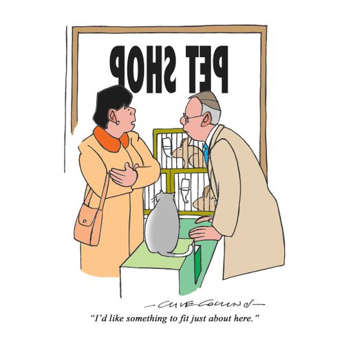 "I'd like something to fit just about here."