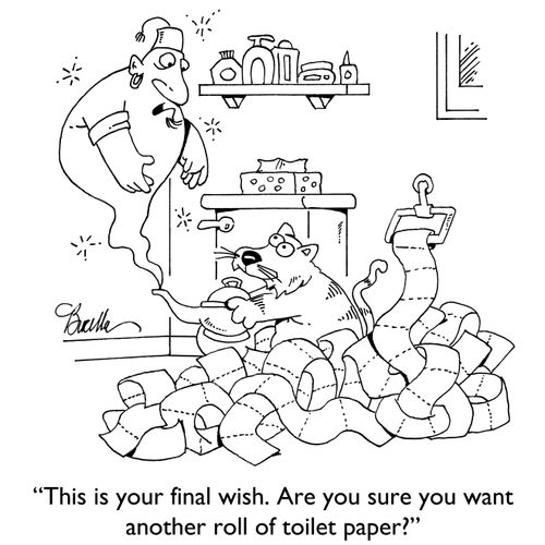 "This is your final wish. Are you sure you want another roll of toilet paper?"