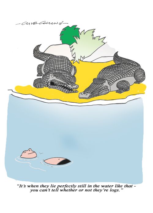 "It's when they lie perfectly still in the water like that - you can't tell whether or not they're logs."