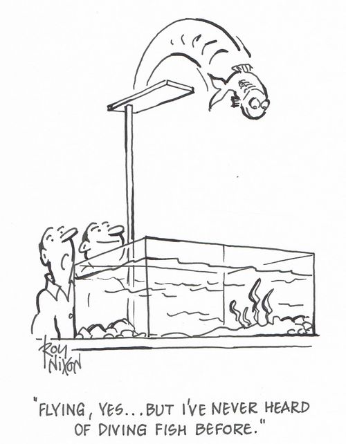 "Flying, yes...but I've never heard of diving fish before."