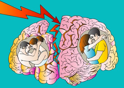 Brain Divide