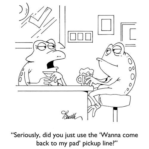"Seriously, did you just use the 'Wanna come back to my pad' pickup line?"