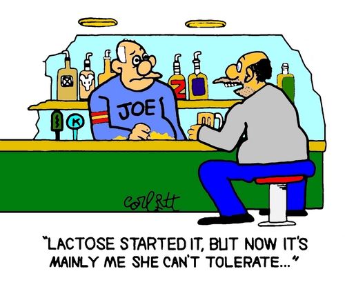"Lactose started it, but now it's mainly me she can't tolerate. . ."
