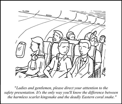"Ladies and gentlemen, please direct your attention to the safety presentation. It's the only way you'll know the difference between the harmless scarlet kingsnake and the deadly Eastern coral snake."