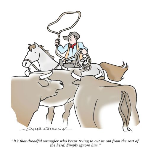 "It's that dreadful wrangler who keeps trying to cut us out from the rest of the herd. Simply ignore him."