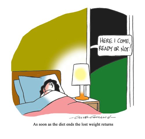 As soon as the diet ends the lost weight returns.