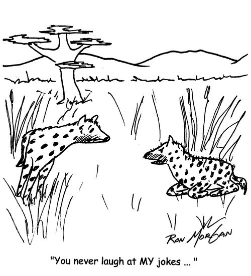 "You never laugh at my jokes... "