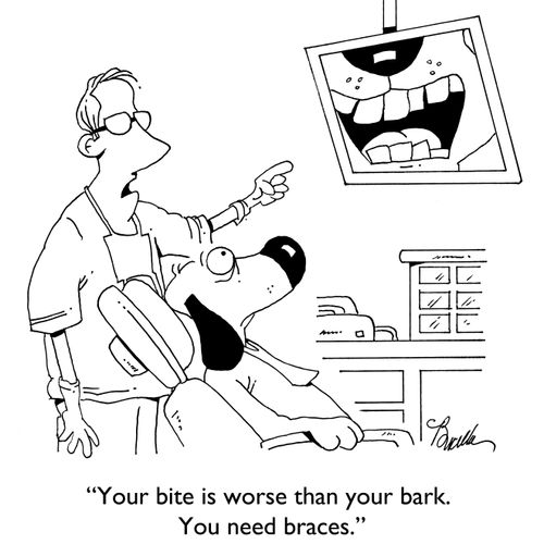"Your bite is worse than your bark. You need braces."