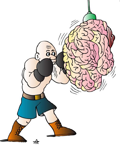 Boxer