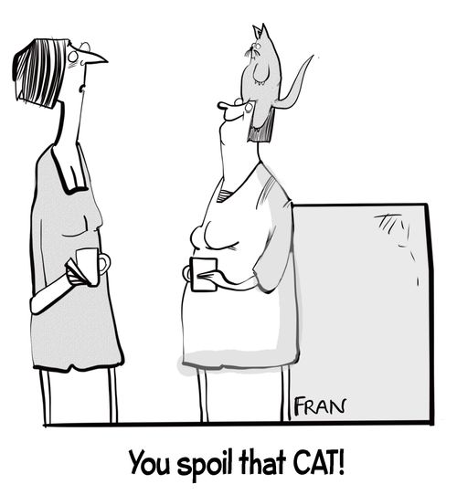 "You spoil that cat!"