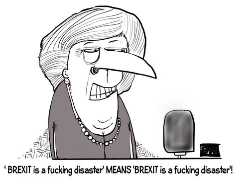 "'Brexit is a f*****g disaster' means 'Brexit is a f*****g disaster'!"
