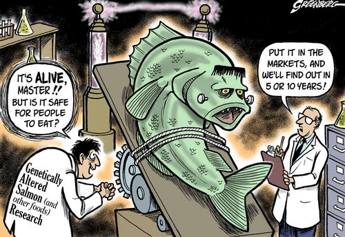 Genetically Altered Salmon (and other foods) Research