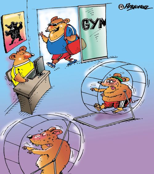 Hamster Gym