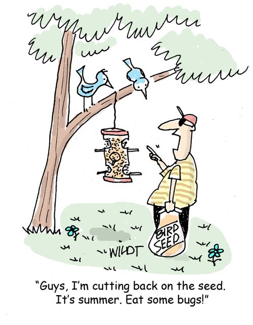 "Guys, I'm cutting back on the seed. It's summer. Eat some bugs."