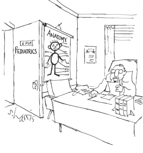 Pediatrics - Anatomy