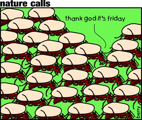"Thank god it's Friday."