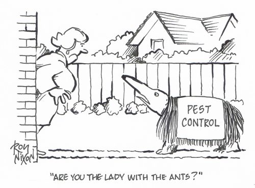 "Are you the lady with the ants?"
