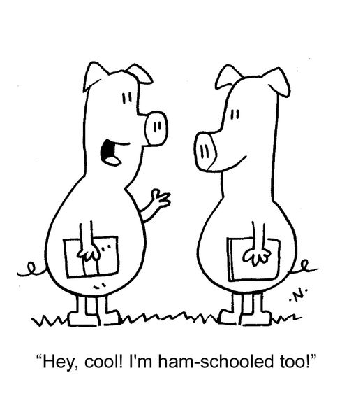 "Hey, cool! I'm ham-schooled too!"