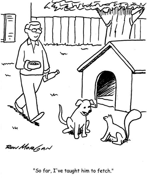 "So far, I've taught him to fetch."