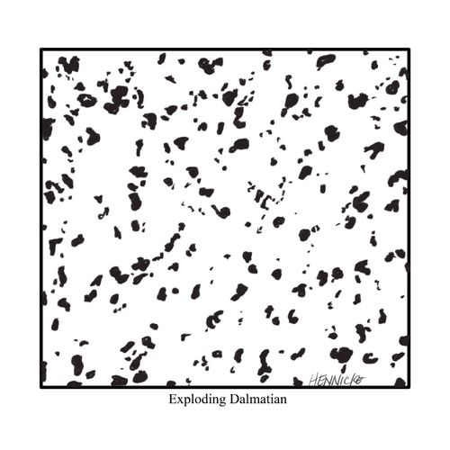 Exploding Dalmatian 