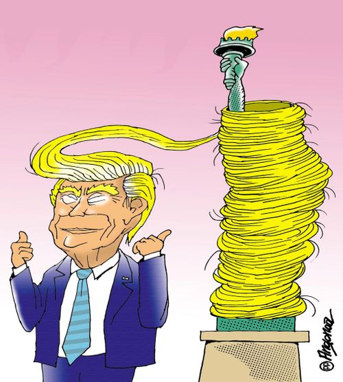 Trump's Hair