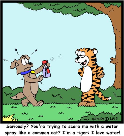 "Seriously? You're trying to scare me with a water spray like a common cat? I'm a tiger: I love water!"