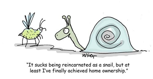 "It sucks being reincarnated as a snail, but at least I've finally achieved home ownership."