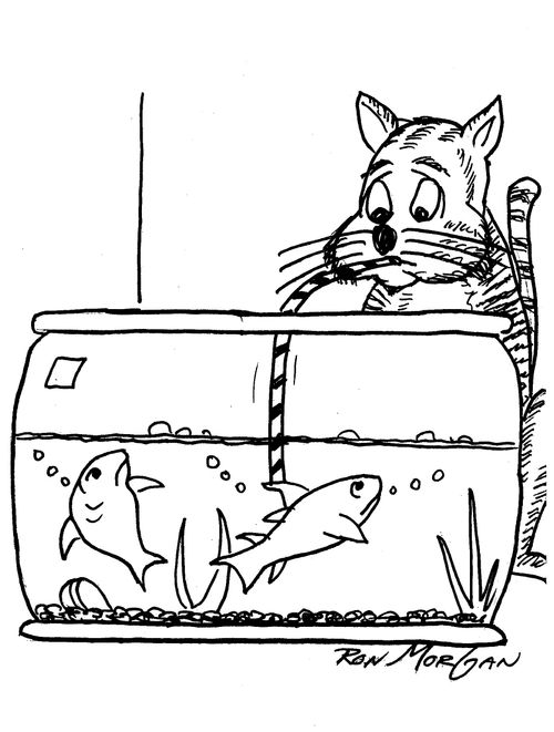 Fish uses its gill to block straw cat is using to remove water from a fish bowl.