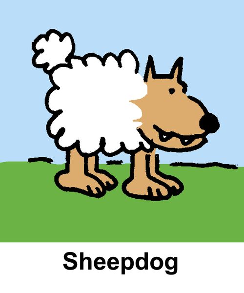 Sheepdog