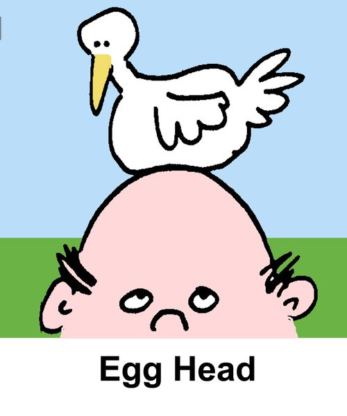 Egg Head