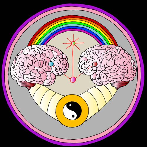 Brain