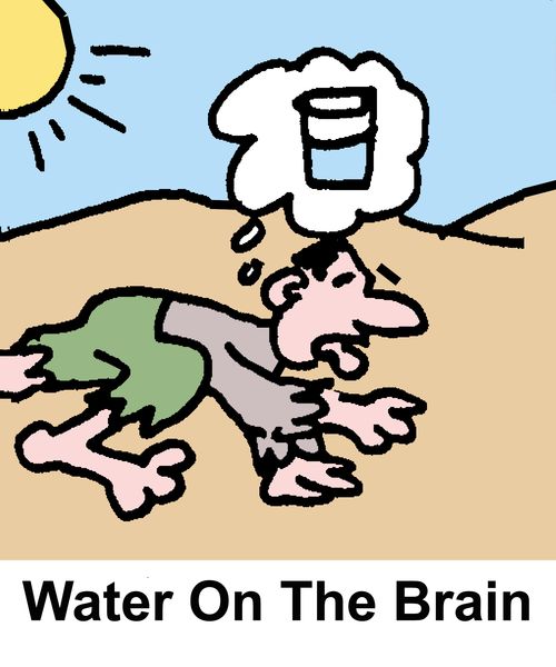 Water On The Brain