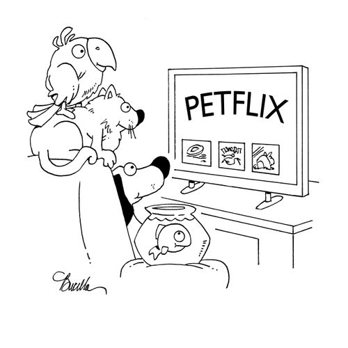 PETFLIX