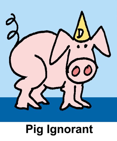 Pig Ignorant